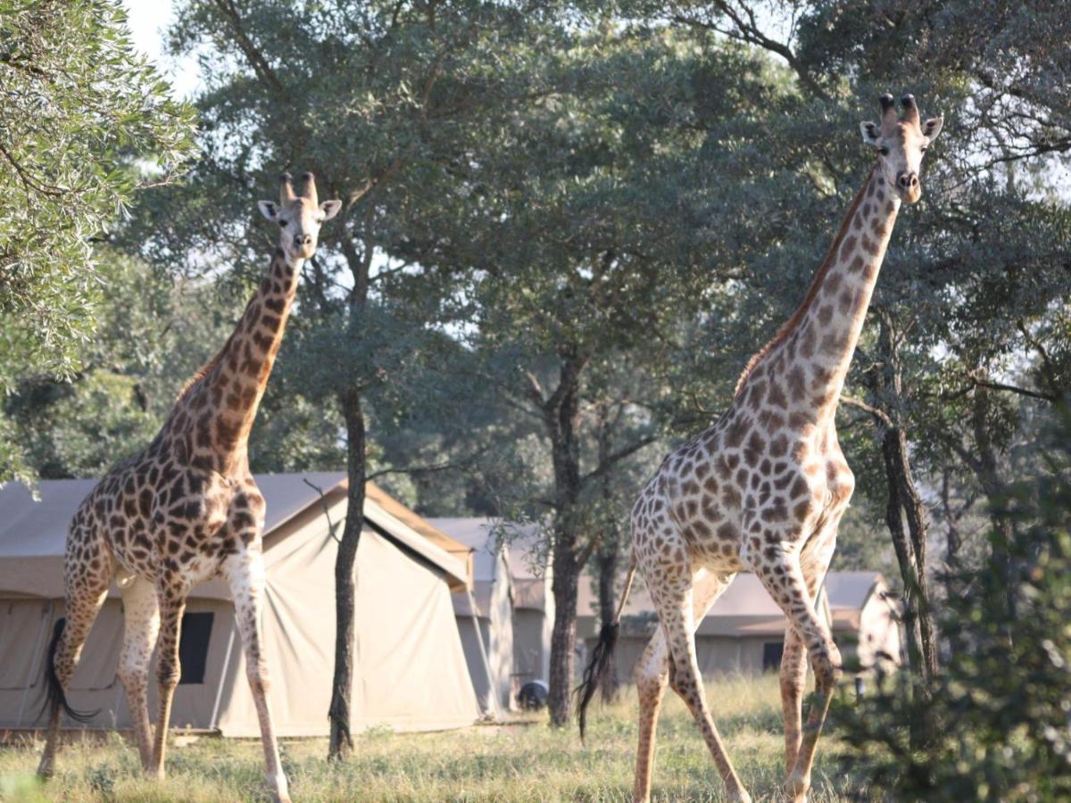 Unyati Safari Lodge Hectorspruit Экстерьер фото