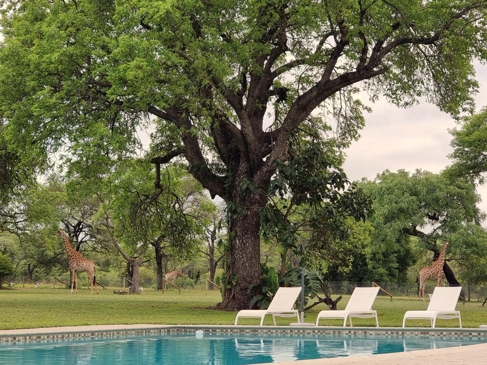 Unyati Safari Lodge Hectorspruit Экстерьер фото