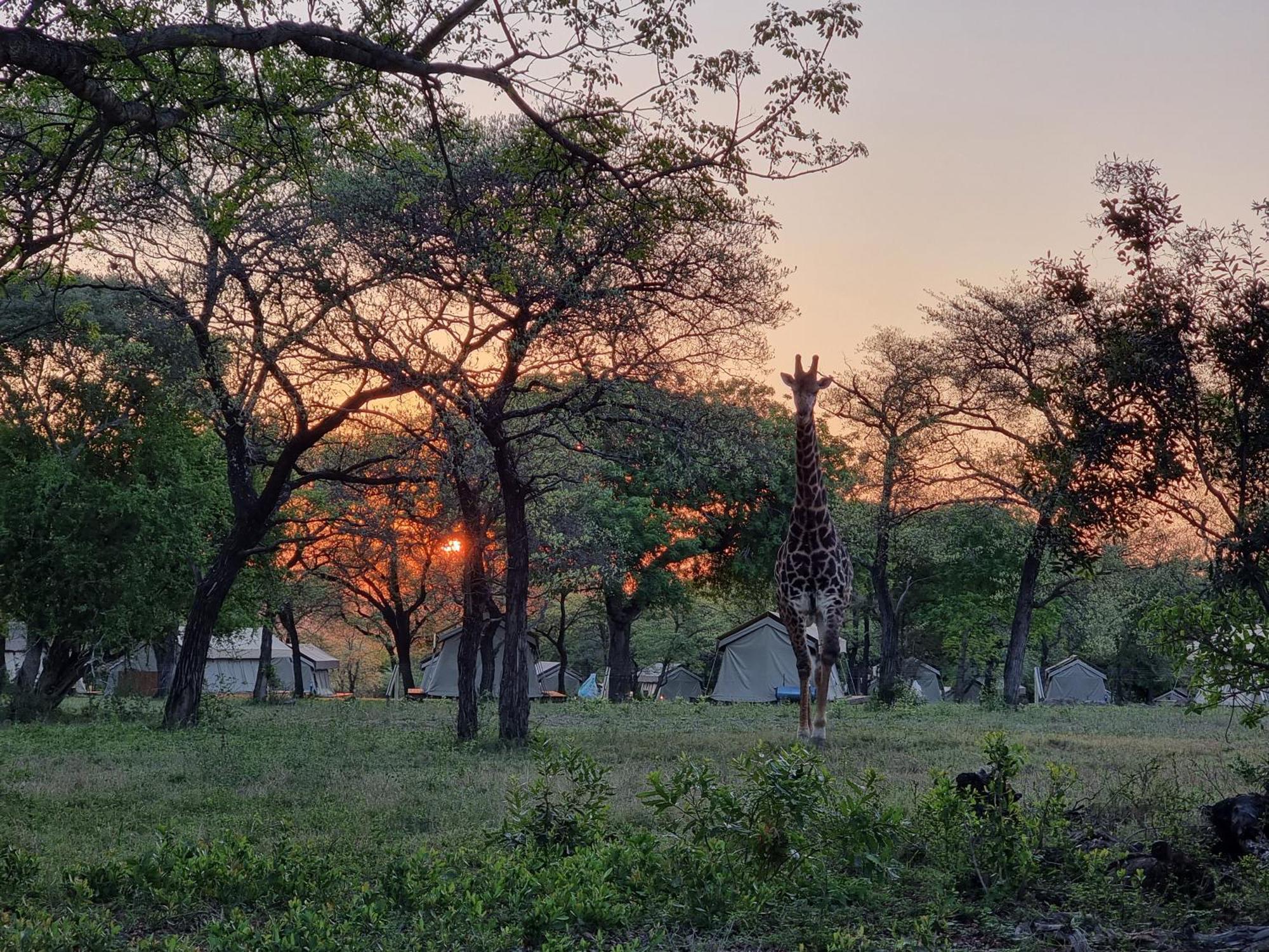 Unyati Safari Lodge Hectorspruit Экстерьер фото