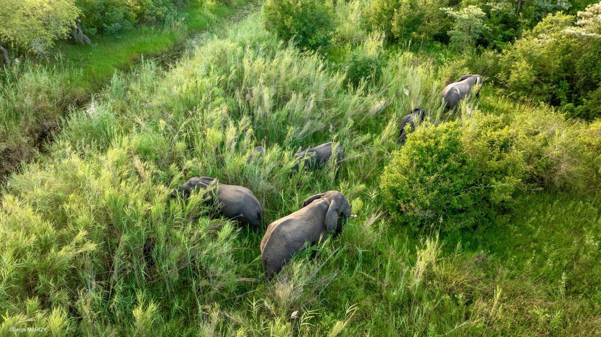 Unyati Safari Lodge Hectorspruit Экстерьер фото